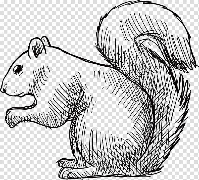 Tree squirrel Rubber stamp Vecteur Eastern gray squirrel, Hand-painted rat transparent background PNG clipart