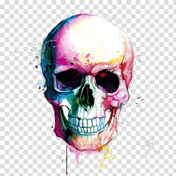 skull transparent background PNG clipart