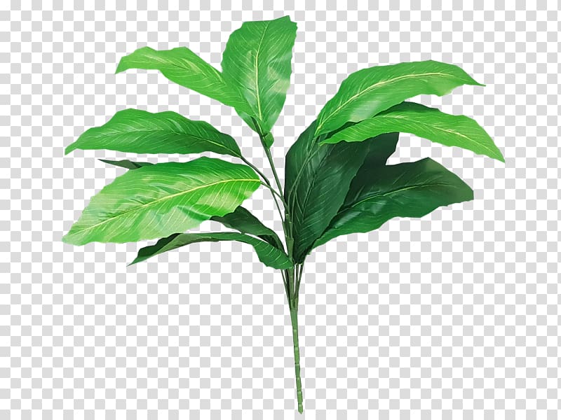 Leaf Plant stem Tree Shrub, greenery transparent background PNG clipart