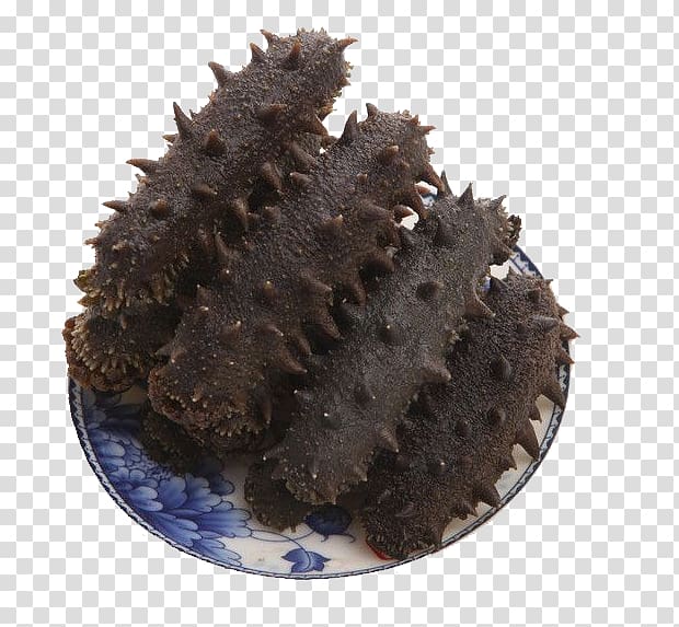 Sea cucumber as food Sashimi Extract, Sea cucumber transparent background PNG clipart