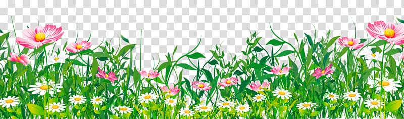 Butterfly Flower Grasses , Flower Grass transparent background PNG clipart