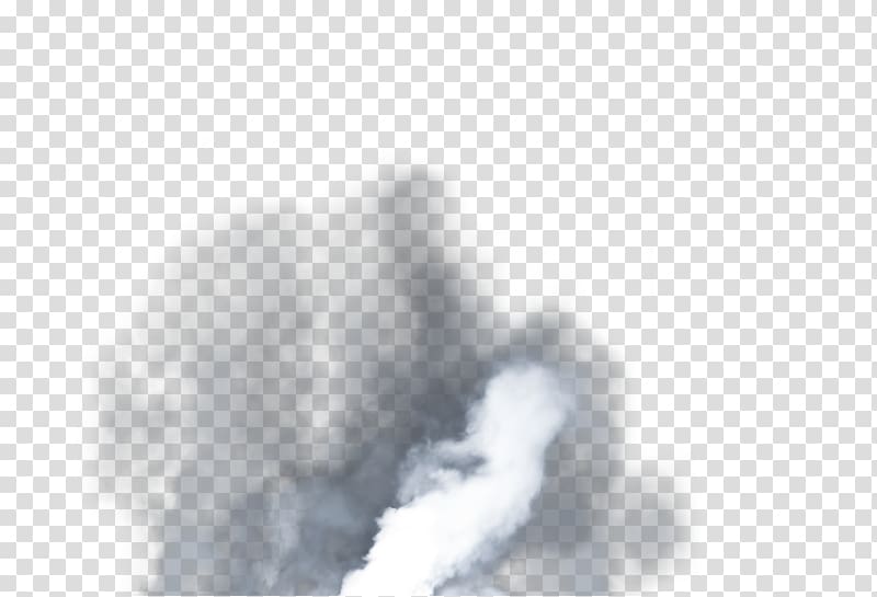 white transparent background PNG clipart
