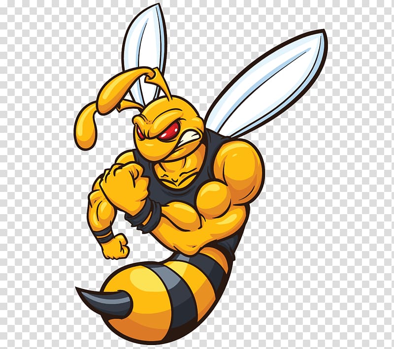 Hornet Yellowjacket , bee transparent background PNG clipart