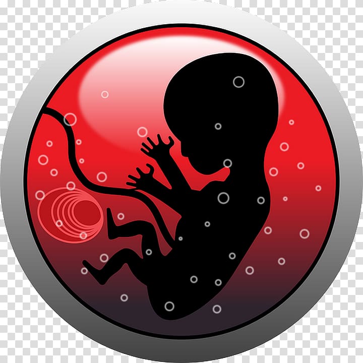 Fetus Human embryogenesis , others transparent background PNG clipart