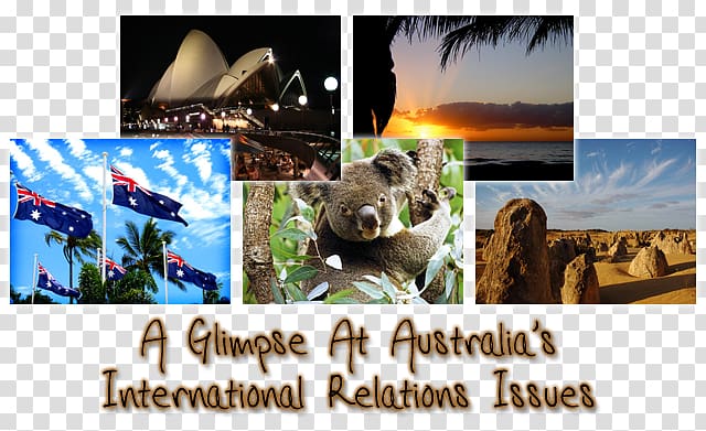 Advertising Koala Collage Desktop graphic printing, Australian Passport transparent background PNG clipart