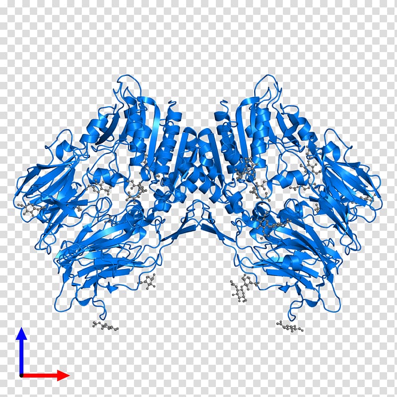 Dipeptidyl peptidase-4 Protein Protease Gene, others transparent background PNG clipart