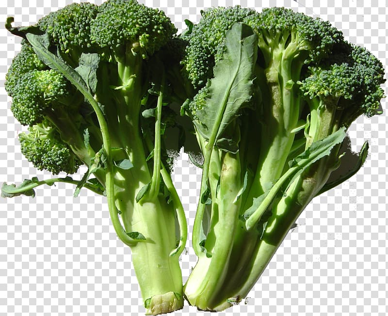 Broccoli Leaf vegetable Nutrient Cruciferous vegetables, broccoli transparent background PNG clipart