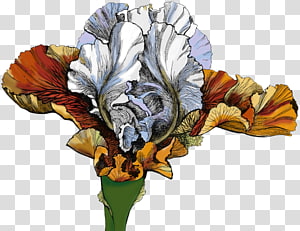 Cut flowers Petal, others transparent background PNG clipart thumbnail