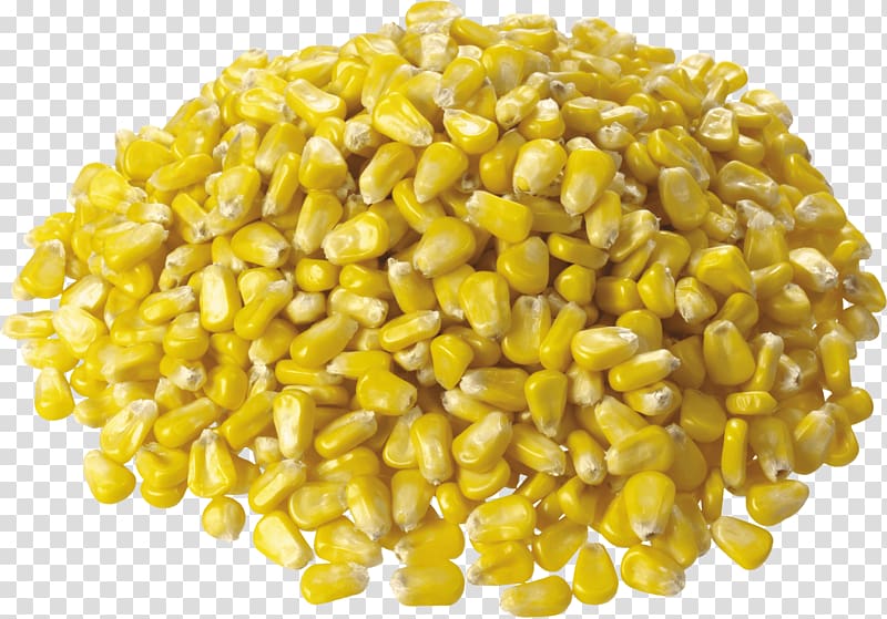 Maize Sweet corn, Corn transparent background PNG clipart