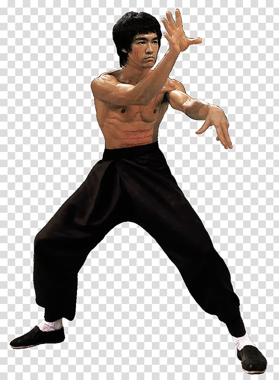 Bruce Lee: Quest of the Dragon Bruce Lee: Return of the Legend Martial arts, others transparent background PNG clipart