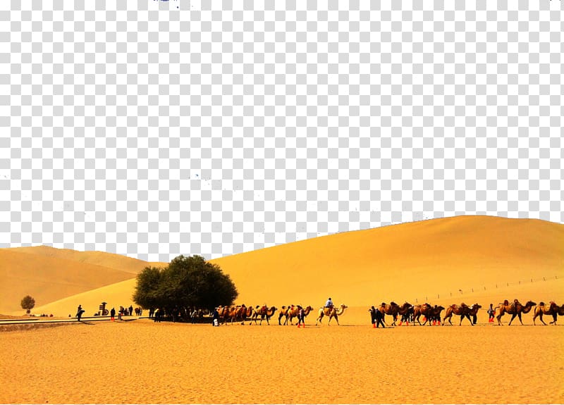 Sahara Erg Desert Singing sand, desert transparent background PNG clipart