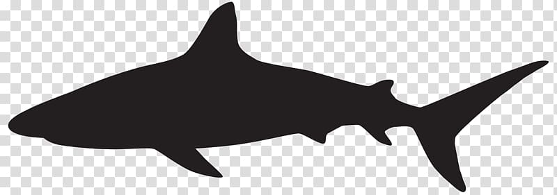shark silhouette, Great white shark Silhouette , sharks transparent background PNG clipart