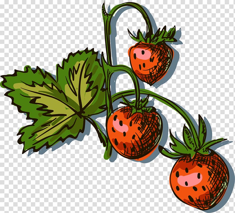 Drawing Aedmaasikas Illustration, hand-painted strawberry transparent background PNG clipart