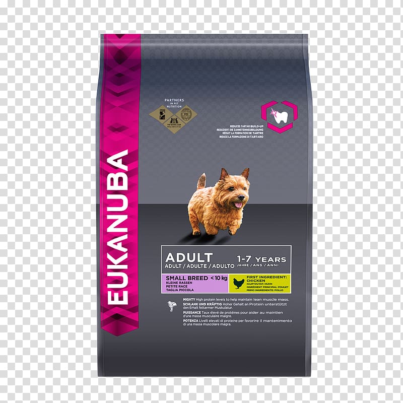 Puppy Maltese dog Dog Food Eukanuba, puppy transparent background PNG clipart