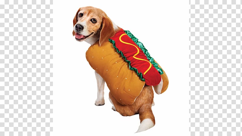 Puppy Dachshund Pet Beagle Hot dog, Hotdog transparent background PNG clipart