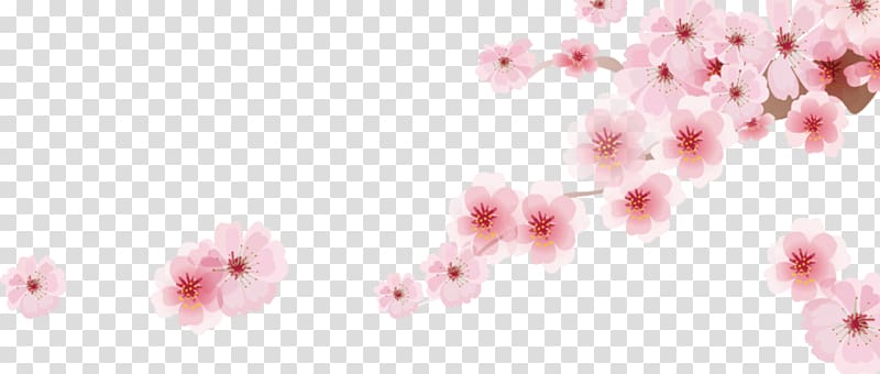 pink cherry blossoms illustration, Cherry blossom Cartoon, Romantic Sakura Japanese cartoon decoration transparent background PNG clipart