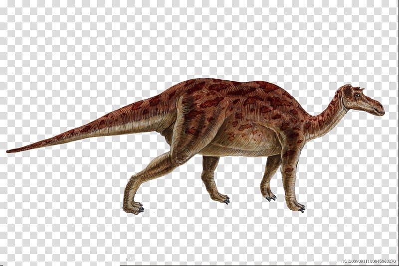 Maiasaura Iguanodontia Dinosaur Genasauria Late Cretaceous, Dinosaur Creative transparent background PNG clipart