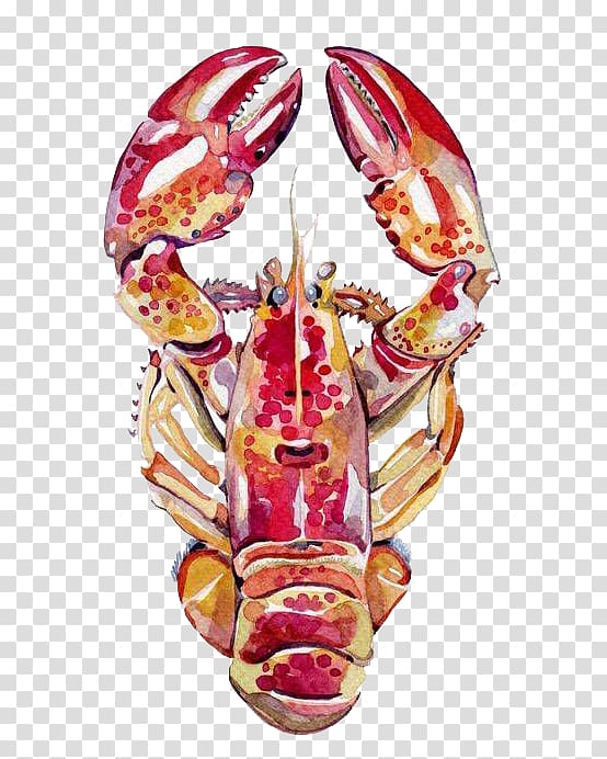 American lobster Dungeness crab Illustrator Drawing Illustration, Watercolor lobster transparent background PNG clipart