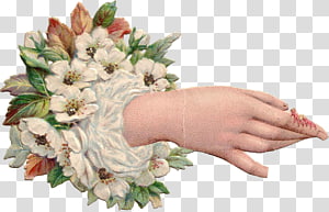 Floral design Cut flowers Flower bouquet, flower transparent background PNG clipart thumbnail