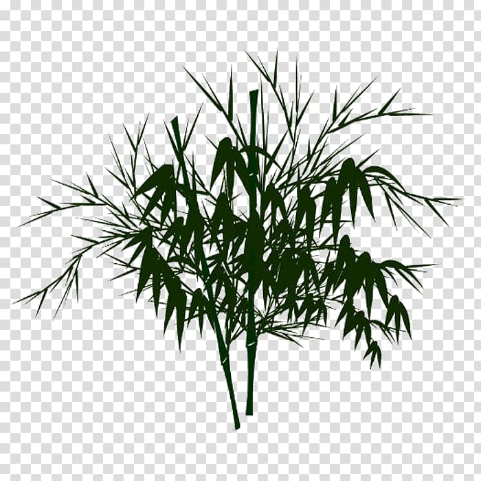 Bamboo Watercolor painting, bamboo transparent background PNG clipart