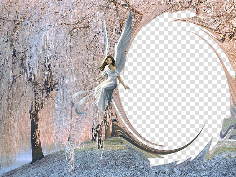 Weeping willow Tree Ice Snow , Angel tree transparent background PNG clipart
