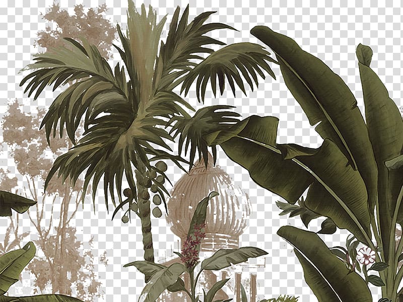 green banana tree, Yanoda Arecaceae Tropics Plant, Hand painted tropical palm tree transparent background PNG clipart
