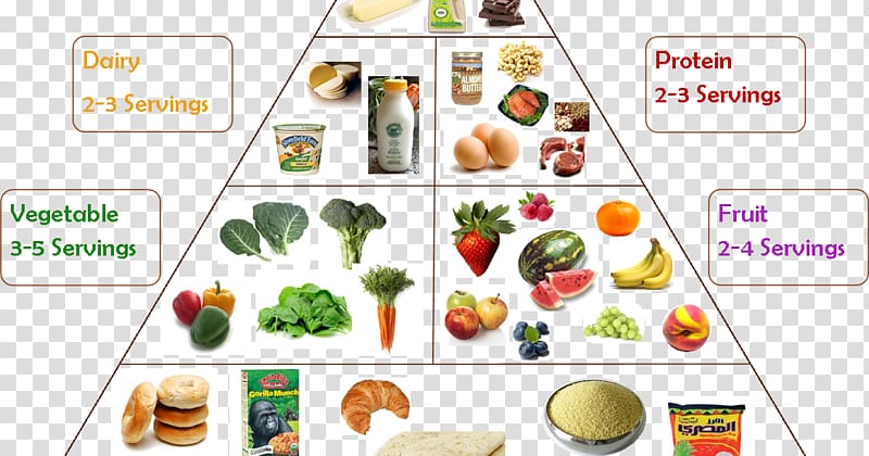 Vegetarian cuisine Food group Chart Diet, health transparent background PNG clipart