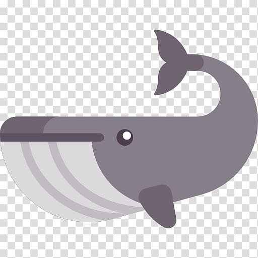 Marine mammal Product design Font, design transparent background PNG clipart