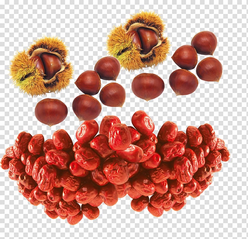 Chestnut Icon, Castanea henryi and dates transparent background PNG clipart