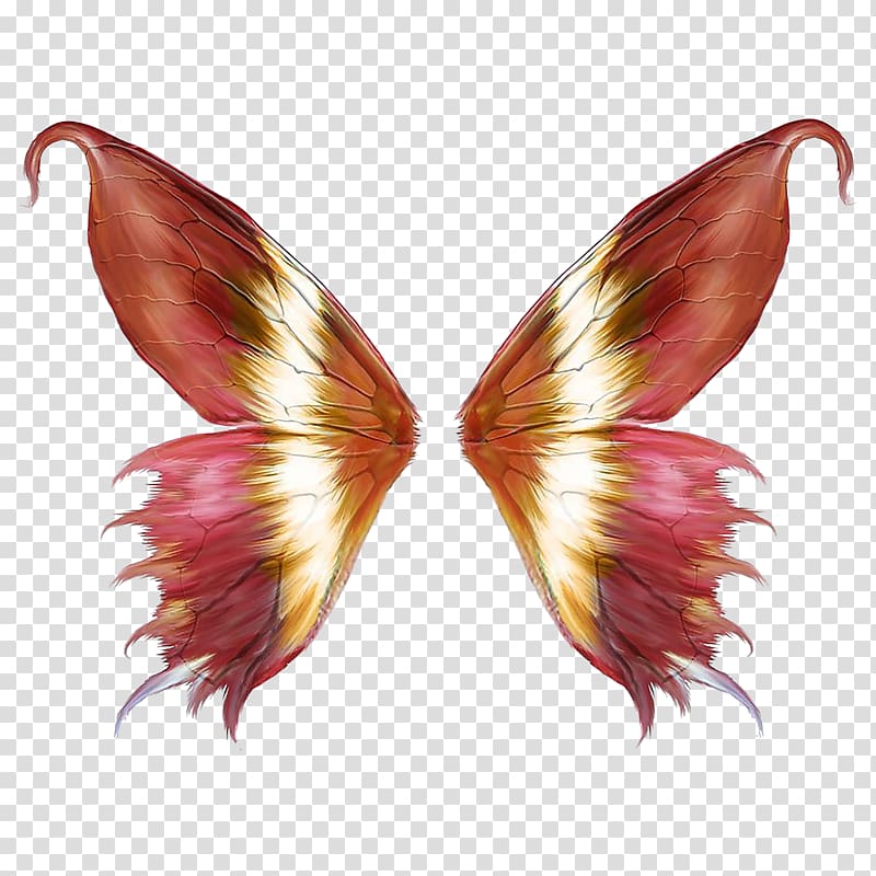 butterfly wings illustration, Pink butterfly wings transparent background PNG clipart