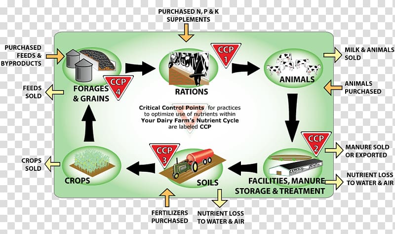 Nutrient cycle Farm Agriculture Phosphorus cycle, public morality propaganda map transparent background PNG clipart