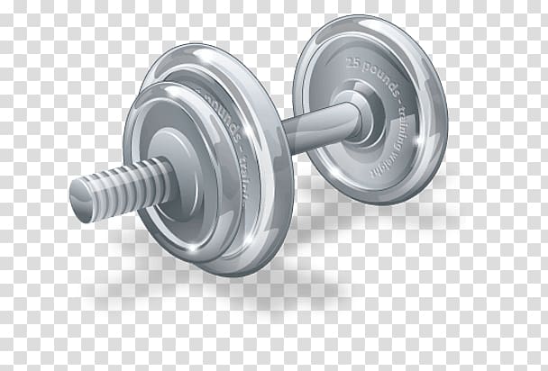Dumbbell Physical fitness Barbell Fitness Centre Exercise, dumbbell transparent background PNG clipart