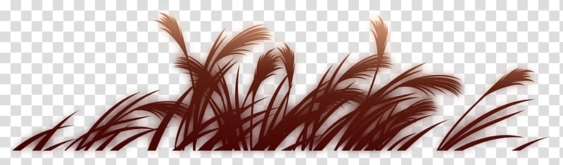 Grasses Common reed Font, others transparent background PNG clipart