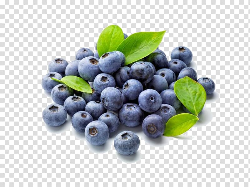 Blueberry Fruit Food Antioxidant Shrub, blueberry transparent background PNG clipart