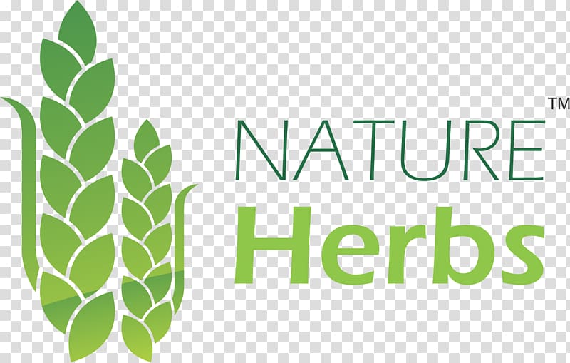 Nature Herbs Leaf Seed Food, Leaf transparent background PNG clipart