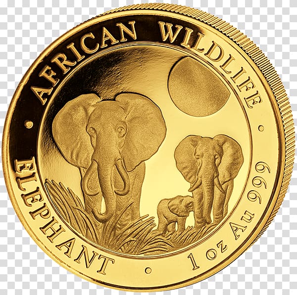 African elephant Somalia Elephantidae Gold Coin, gold transparent background PNG clipart