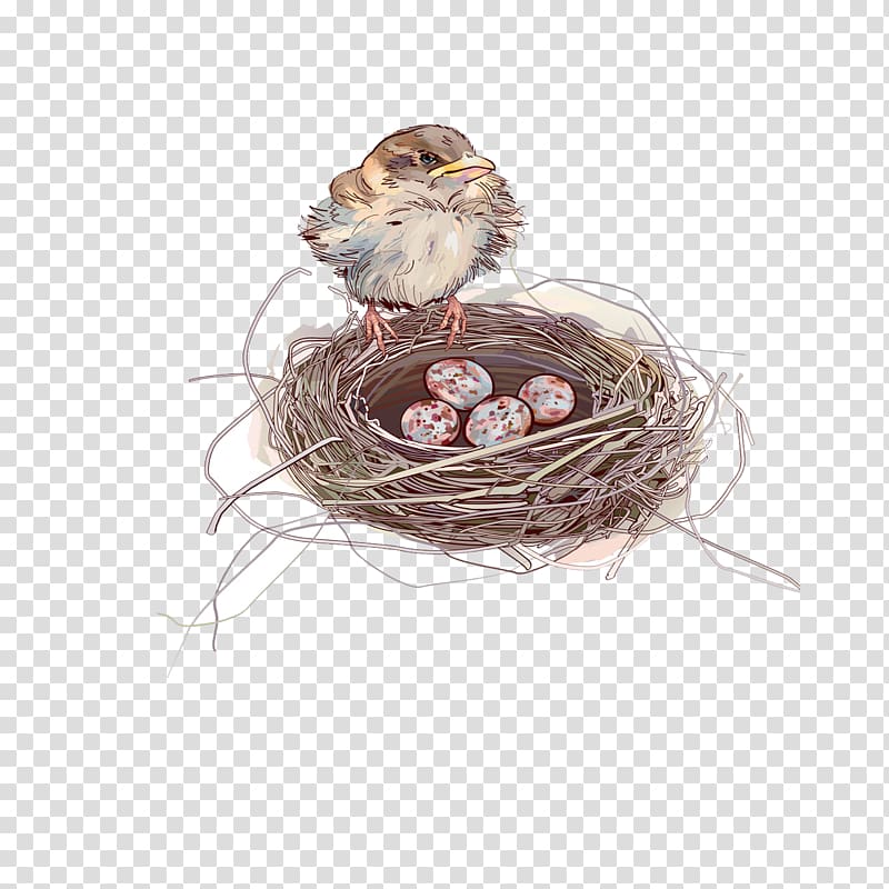 Sparrow Bird nest Egg, Nest transparent background PNG clipart