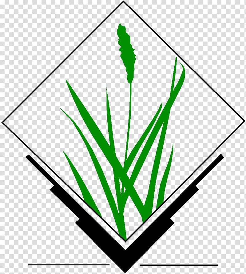 GRASS GIS Geographic Information System Open Source Geospatial Foundation Computer Software ArcGIS, Open Source Art transparent background PNG clipart