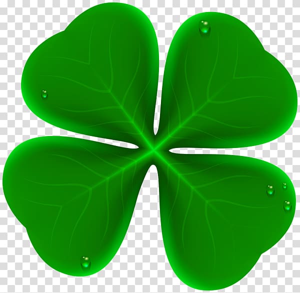 Four-leaf clover Shamrock , four leaf clover transparent background PNG clipart