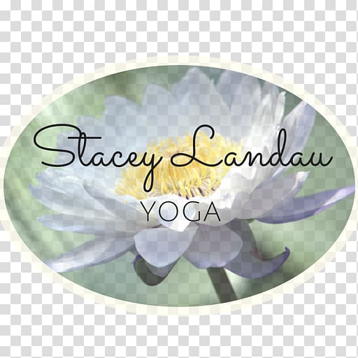 Stacey Landau Yoga Therapy Radlett St Albans, Yoga class transparent background PNG clipart