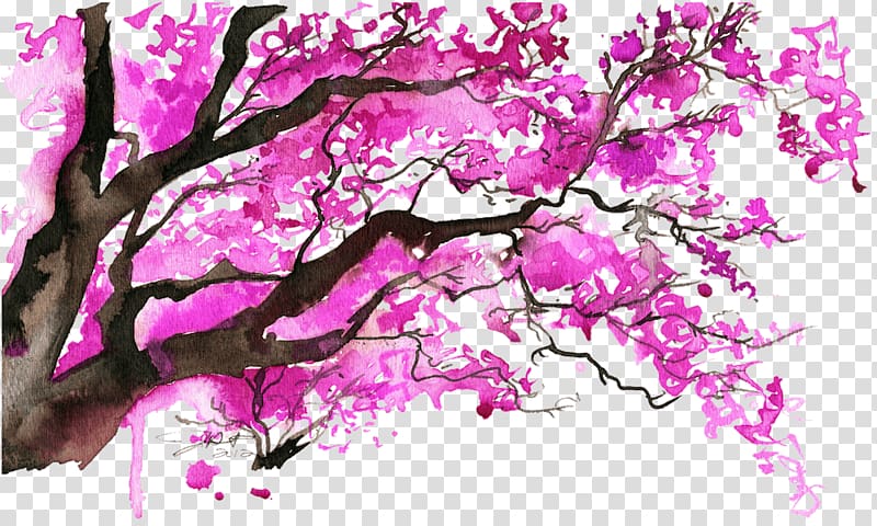 Watercolor painting Cherry blossom Tree, cherry blossom transparent background PNG clipart