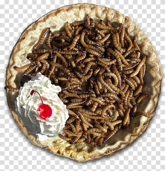 Mealworm Beetle Larva Food, fries transparent background PNG clipart