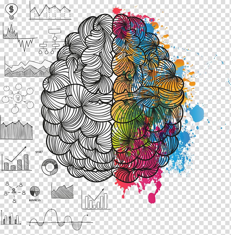 Lateralization of brain function Painting Cerebral hemisphere, Brain thinking transparent background PNG clipart