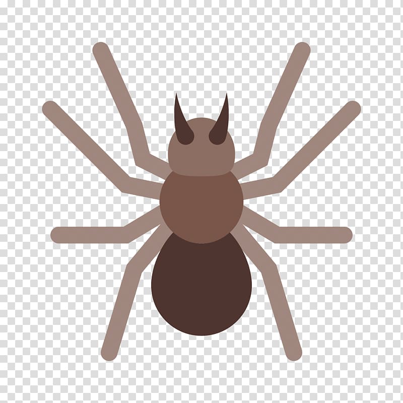 Cockroach Insect, BLACKBOARD transparent background PNG clipart