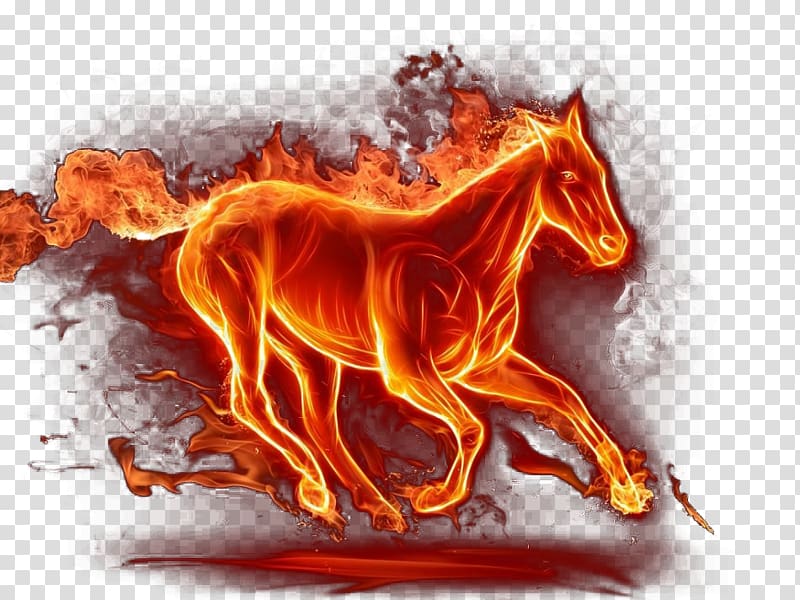 burning horse artwork, Horse Kindle Fire HD High-definition television 4K resolution , Running horse transparent background PNG clipart
