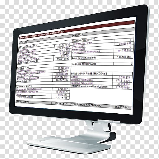Computer Monitors Enterprise resource planning Spanish Tax Agency Cooperative Common Grape Vine, contabilidad transparent background PNG clipart