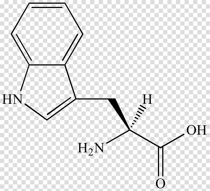 Phenylalanine Amino acid Amine Organic chemistry, amino acid transparent background PNG clipart