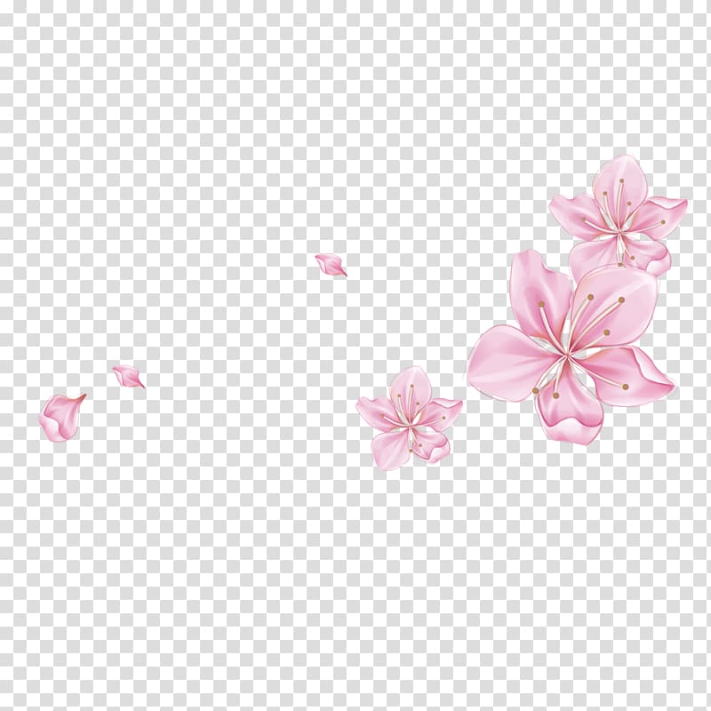 Petal, Floating Peach transparent background PNG clipart