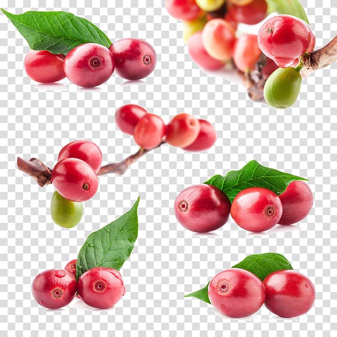 red cherry , Coffee bean Red beans and rice Frutti di bosco, Coffee beans transparent background PNG clipart