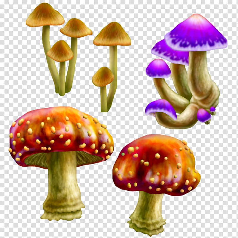 Edible mushroom Fungus Mycelium , fungi transparent background PNG clipart